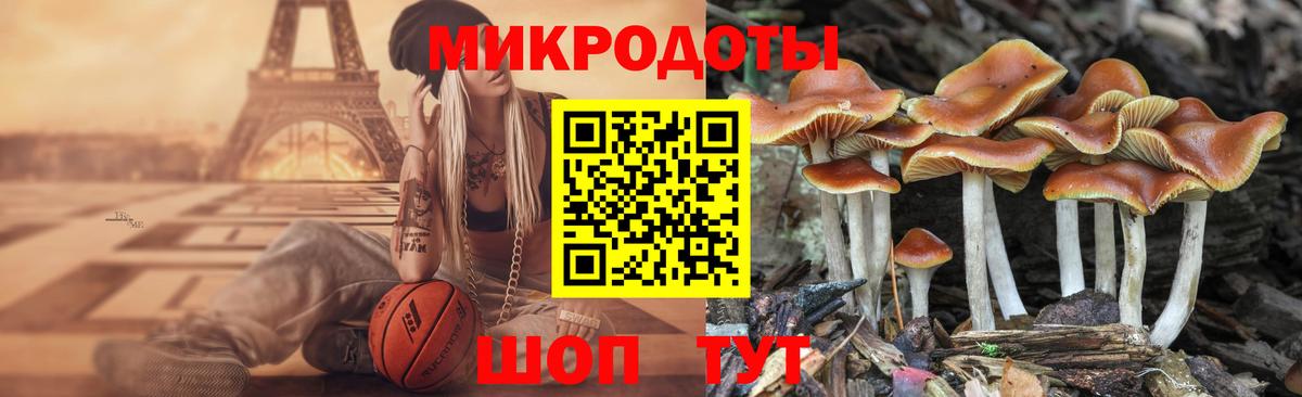 Гусев  Галлюциногенные грибы Psilocybe  Вход с VPN 